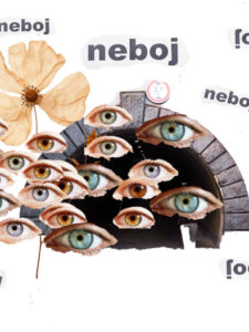 2 6E6602A3-9DF7-4D1C-81A5-0DC7CBC1BFD3 2 3